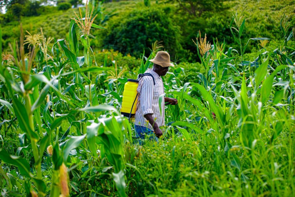 Farming in Harmony with Nature: Rethinking Pesticides and Embracing Agroecology for a Healthier Future